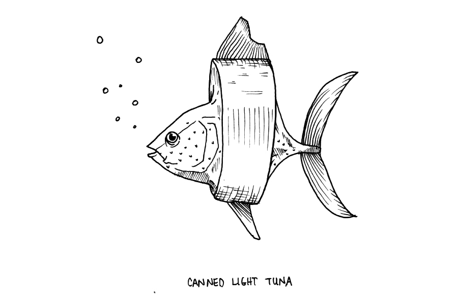 http://www.mynameishoratiobaltz.com/files/gimgs/11_cannedtuna.jpg