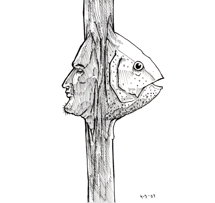 http://www.mynameishoratiobaltz.com/files/gimgs/11_doublefishface.jpg