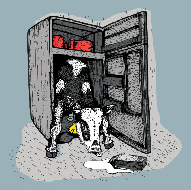 http://www.mynameishoratiobaltz.com/files/gimgs/60_cowfridge.jpg