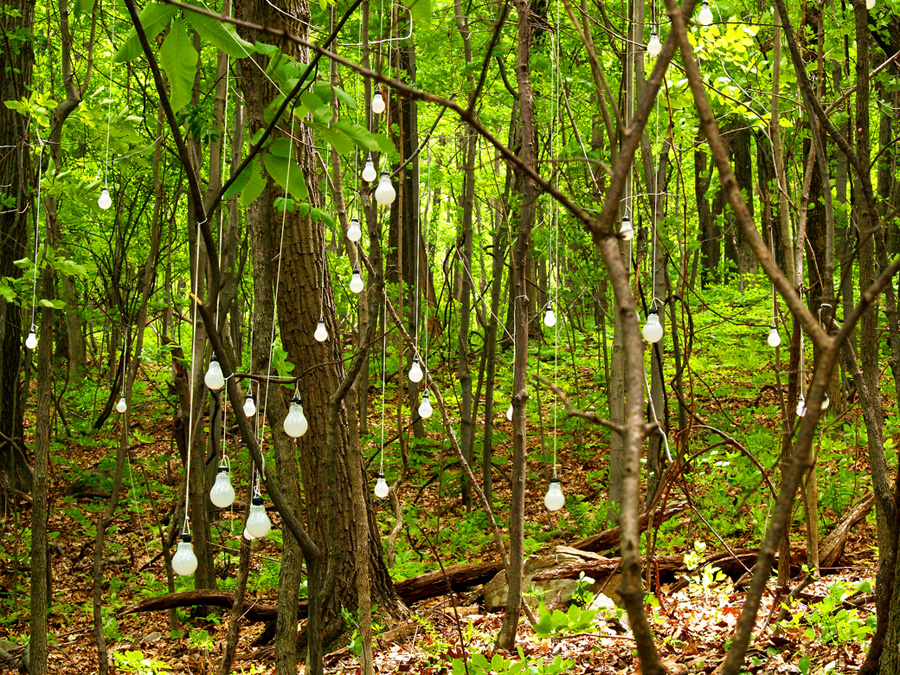 27 Lightbulbs, May 2007